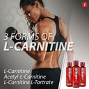 isatori-l-carnitine-ls3-3000-boost-energ-3.jpg