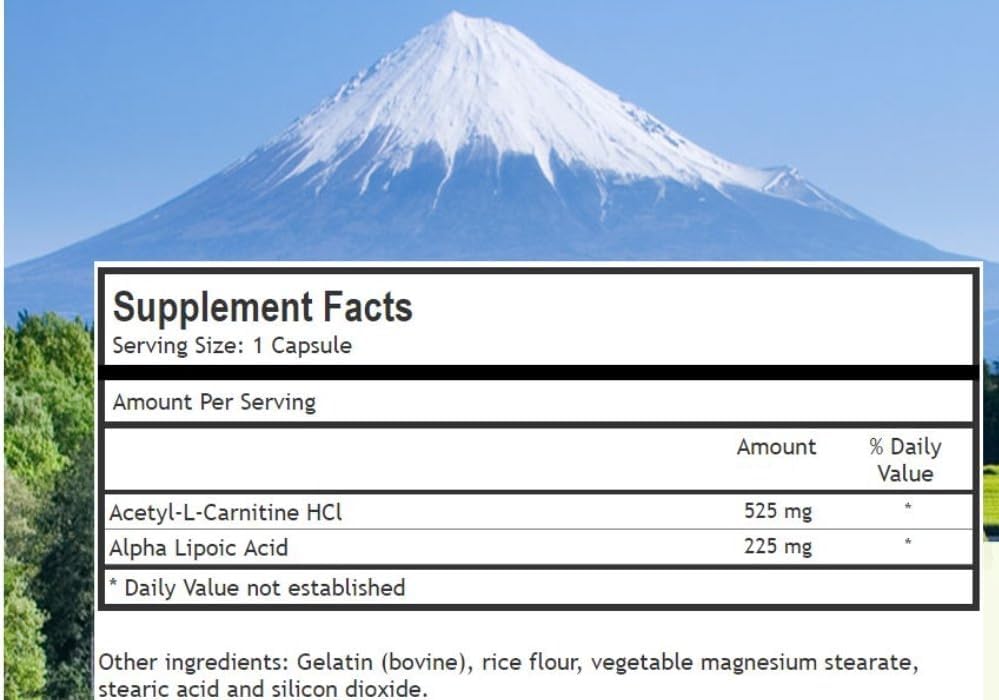 alpha-lipoic-acid-with-acetyl-l-carnitin-4.jpg