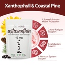 astaxanthin-12mg-supplements-antioxidant-5.jpg