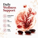 astaxanthin-24mg-astaxanthin-supplements-3.jpg
