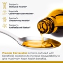 premier-research-labs-resveratrol---resv-4.jpg