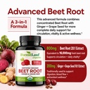 forestleaf-usda-organic-beet-root-capsul-2.jpg