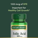 nature-s-bounty-folic-acid-supplement-su-3.jpg