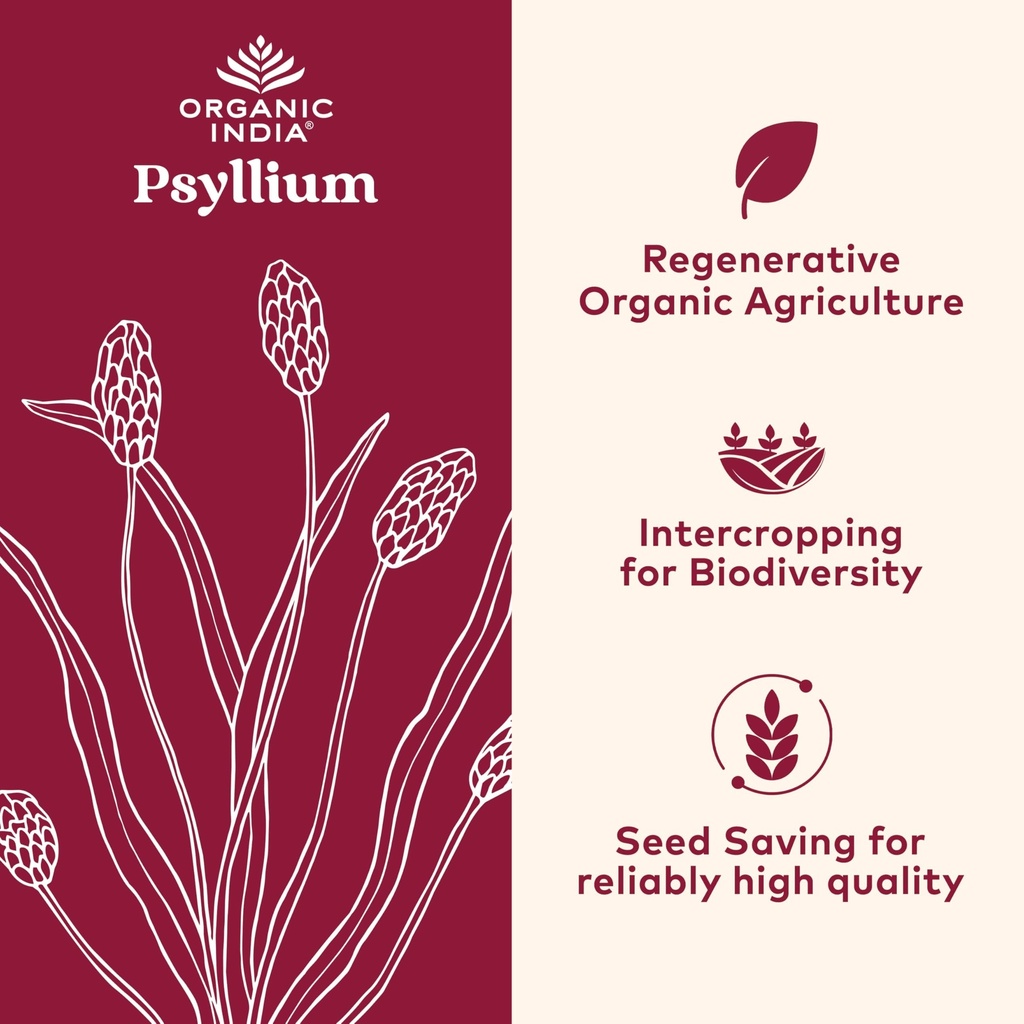 organic-india-psyllium-powder-organic-fi-2.jpg