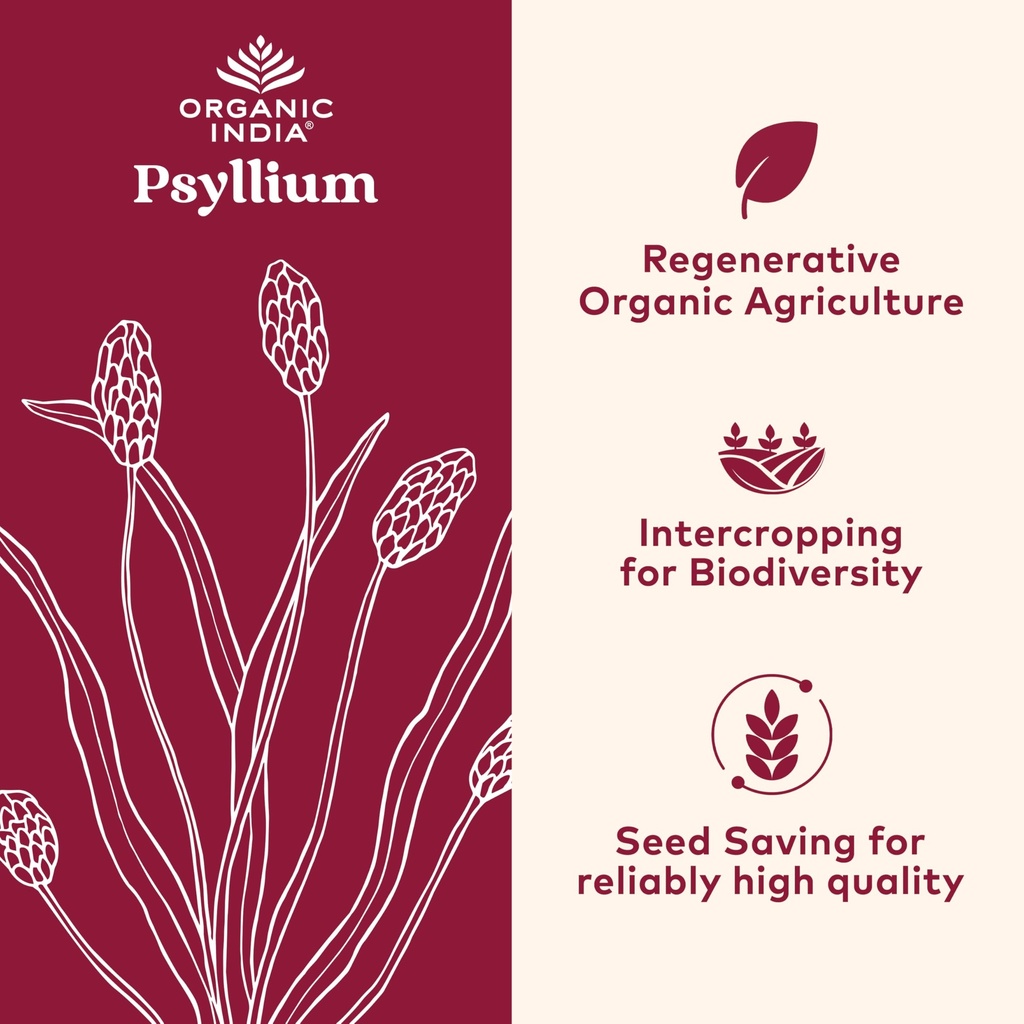 organic-india-psyllium-powder-organic-fi-2.jpg