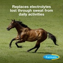 farnam-apple-elite-horse-electrolytes-po-2.jpg
