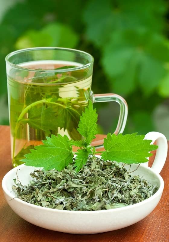 health-embassy-stinging-nettle-leaf-urti-4.jpg