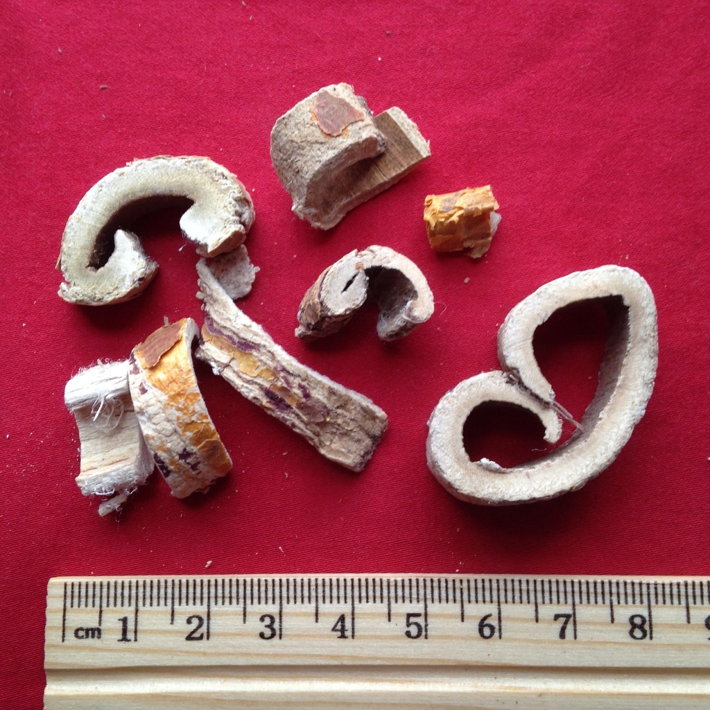 xyp-sangbaipi-sang-bai-pi-100gram-3.jpg