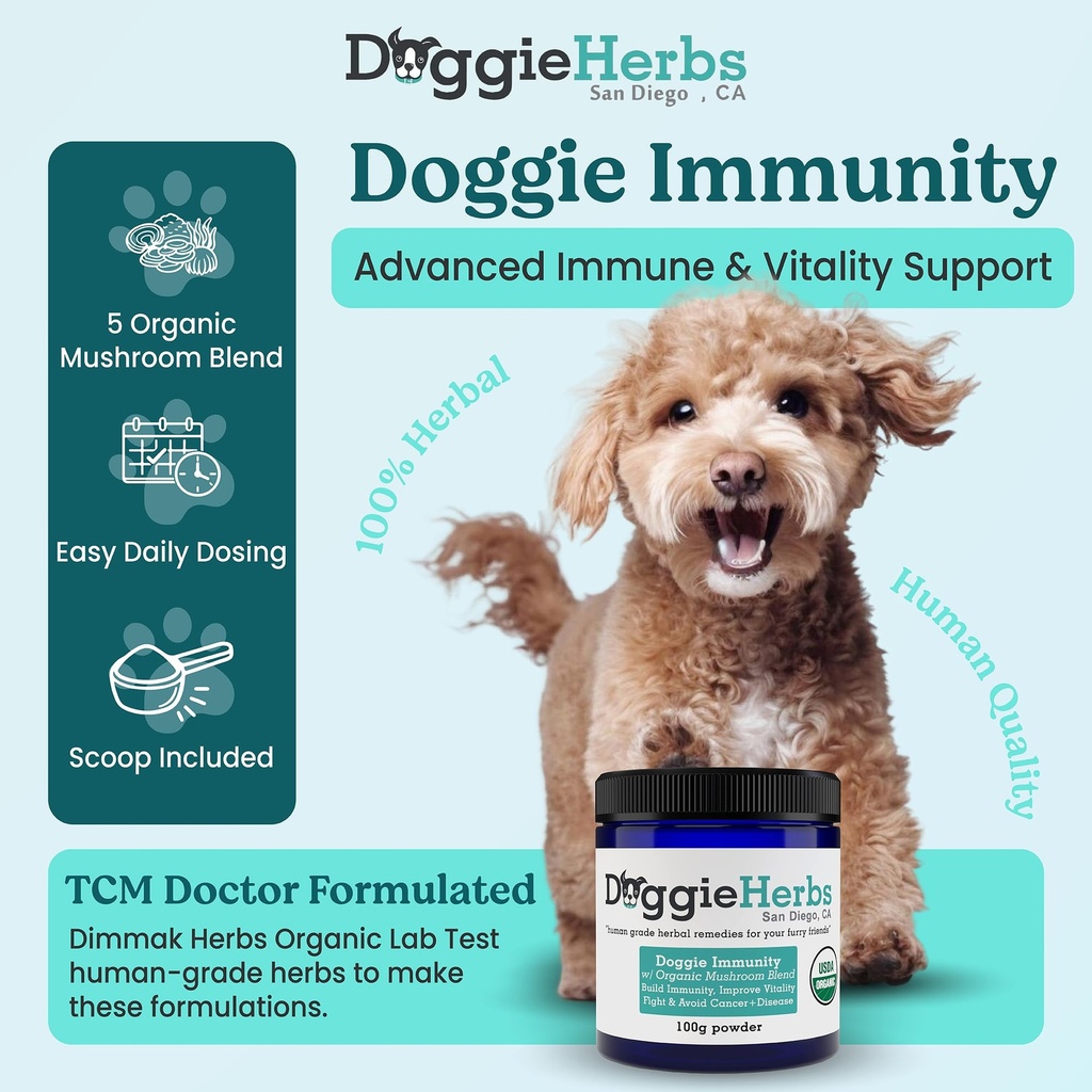 high-potency-immune-support-critical-car-2.jpg