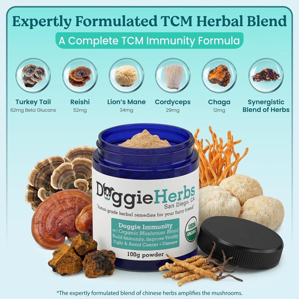 high-potency-immune-support-critical-car-3.jpg