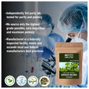 blessfull-healing-organic-ginkgo-biloba--3.jpg