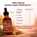 herbana-manufacturing-super-mushroom-com-6.jpg
