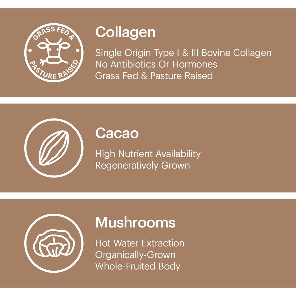 wellthy-collagen-superfood-powder-fights-6.jpg