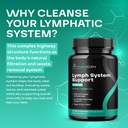 herbal-lymph-system-support-supplement-l-5.jpg