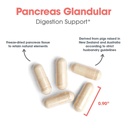 allergy-research-group-arg-pancreas-natu-4.jpg