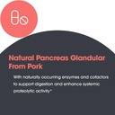 allergy-research-group-arg-pancreas-natu-6.jpg
