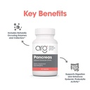 allergy-research-group-arg-pancreas-natu-5.jpg