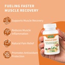 dr-herbal-well-muscle-ease-joint-muscle--4.jpg
