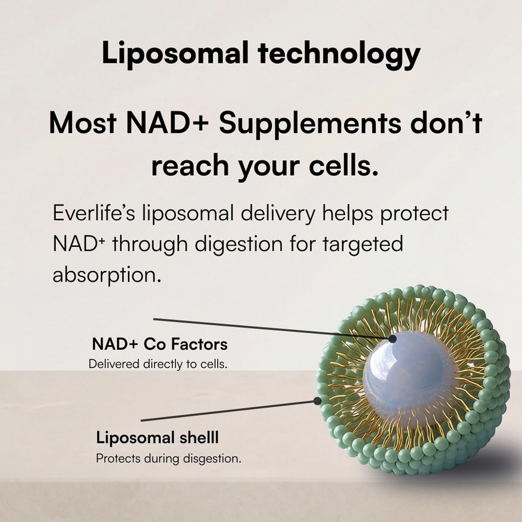 everlife-liposomal-nad-liquid-supplement-2.jpg