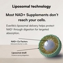 everlife-liposomal-nad-liquid-supplement-2.jpg
