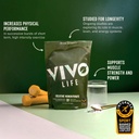 vivo-life-creatine-monohydrate-powder-mi-2.jpg