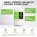 davinci-labs-creatine-powder-amino-acid--3.jpg