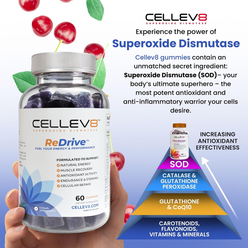 cellev8-redrive-energy-and-performance-g-3.jpg