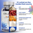cellev8-redrive-energy-and-performance-g-6.jpg