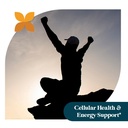 pattern-wellness-glutathione-supplement--5.jpg