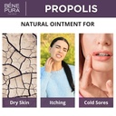 benepura-propolis-ointment-natural-anti--2.jpg