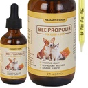 bee-propolis-for-dogs-cats-liquid-dental-3.jpg