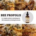 bee-propolis-for-dogs-cats-liquid-dental-5.jpg