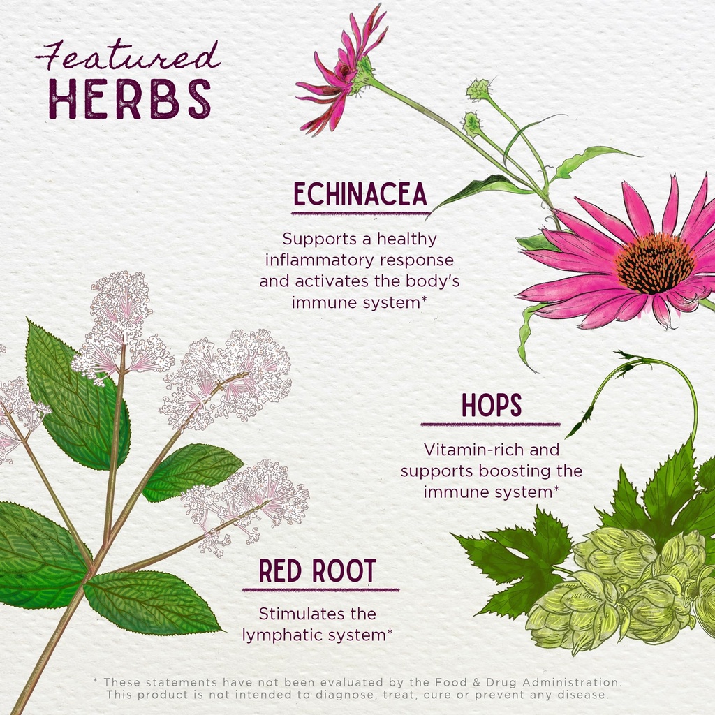 wishgarden-herbs-kick-ass-biotic-echinac-4.jpg