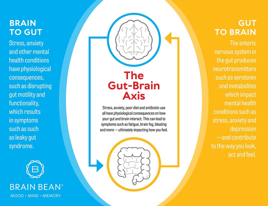 brain-basics-ultra-pure-igg-supplement-d-4.jpg