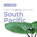leilo-kava-powered-sparkling-relaxation--3.jpg