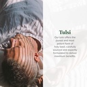 global-healing-center-organic-tulsi-holy-2.jpg