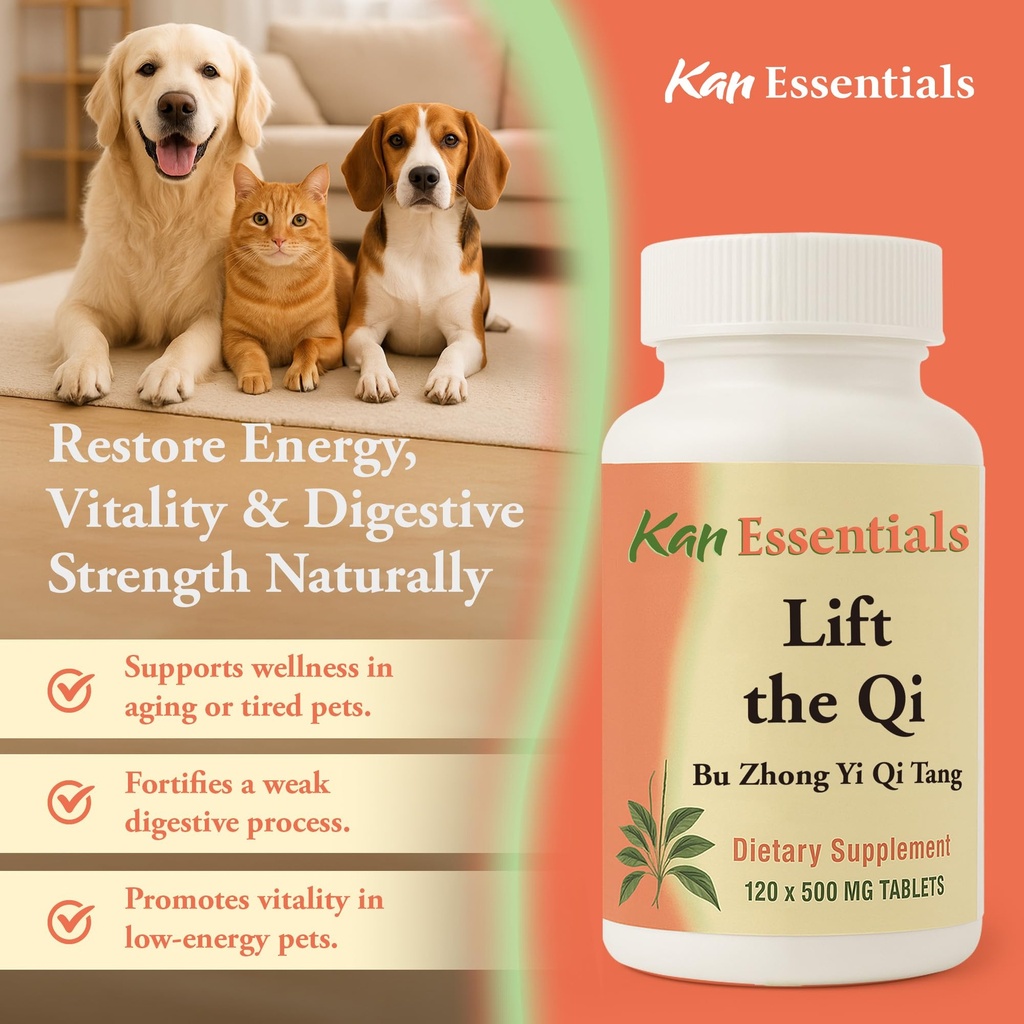 kan-herb-company-lift-the-qi-traditional-5.jpg