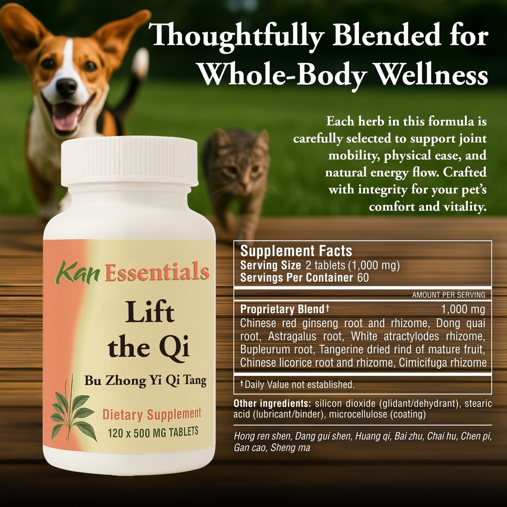 kan-herb-company-lift-the-qi-traditional-3.jpg