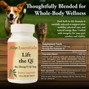 kan-herb-company-lift-the-qi-traditional-3.jpg