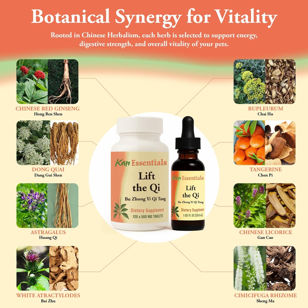 kan-herb-company-lift-the-qi-traditional-4.jpg