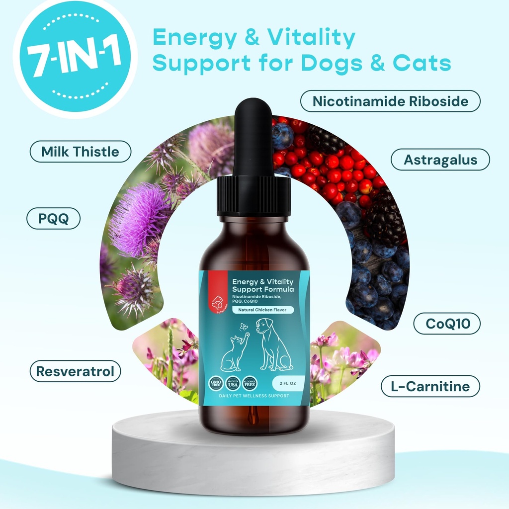 energy-vitality-support-for-dogs-cats-li-2.jpg