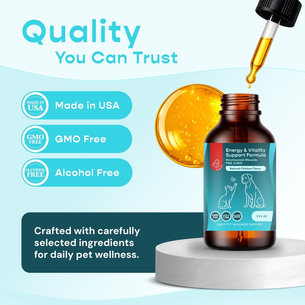 energy-vitality-support-for-dogs-cats-li-3.jpg