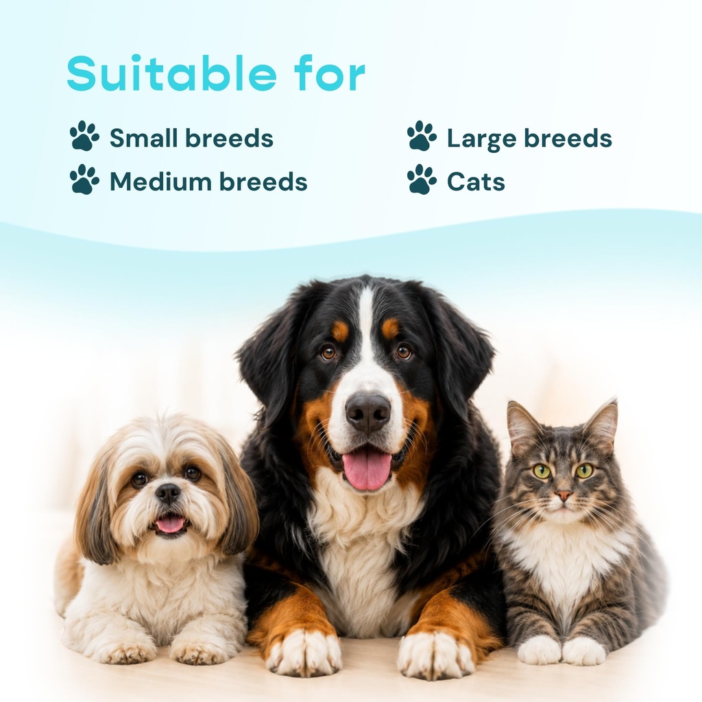 energy-vitality-support-for-dogs-cats-li-6.jpg