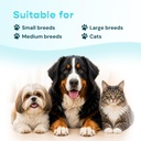 energy-vitality-support-for-dogs-cats-li-6.jpg