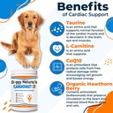 cardiovast-cardio-support-and-cardio-str-6.jpg