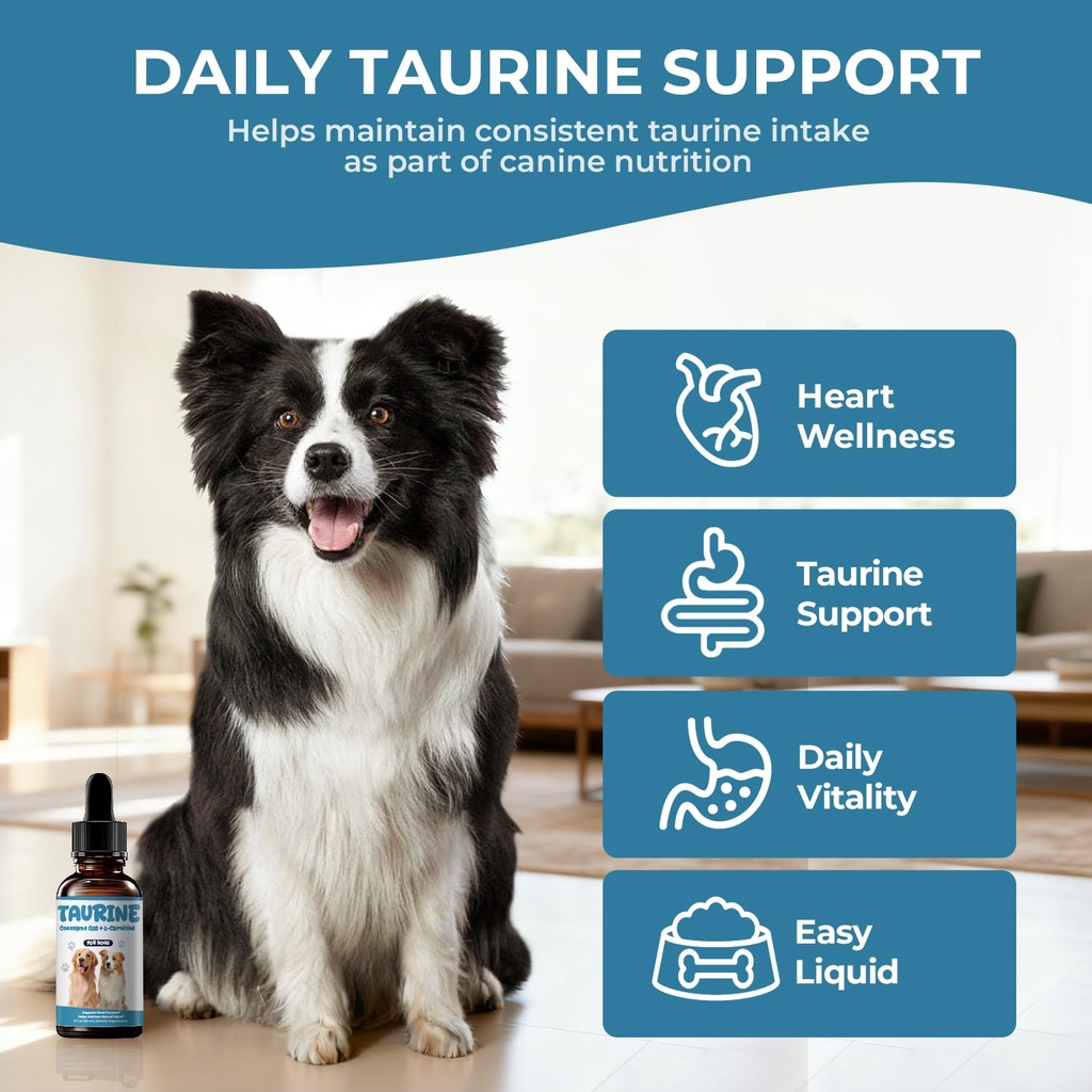 taurine-supplement-for-dogs-liquid-drops-3.jpg