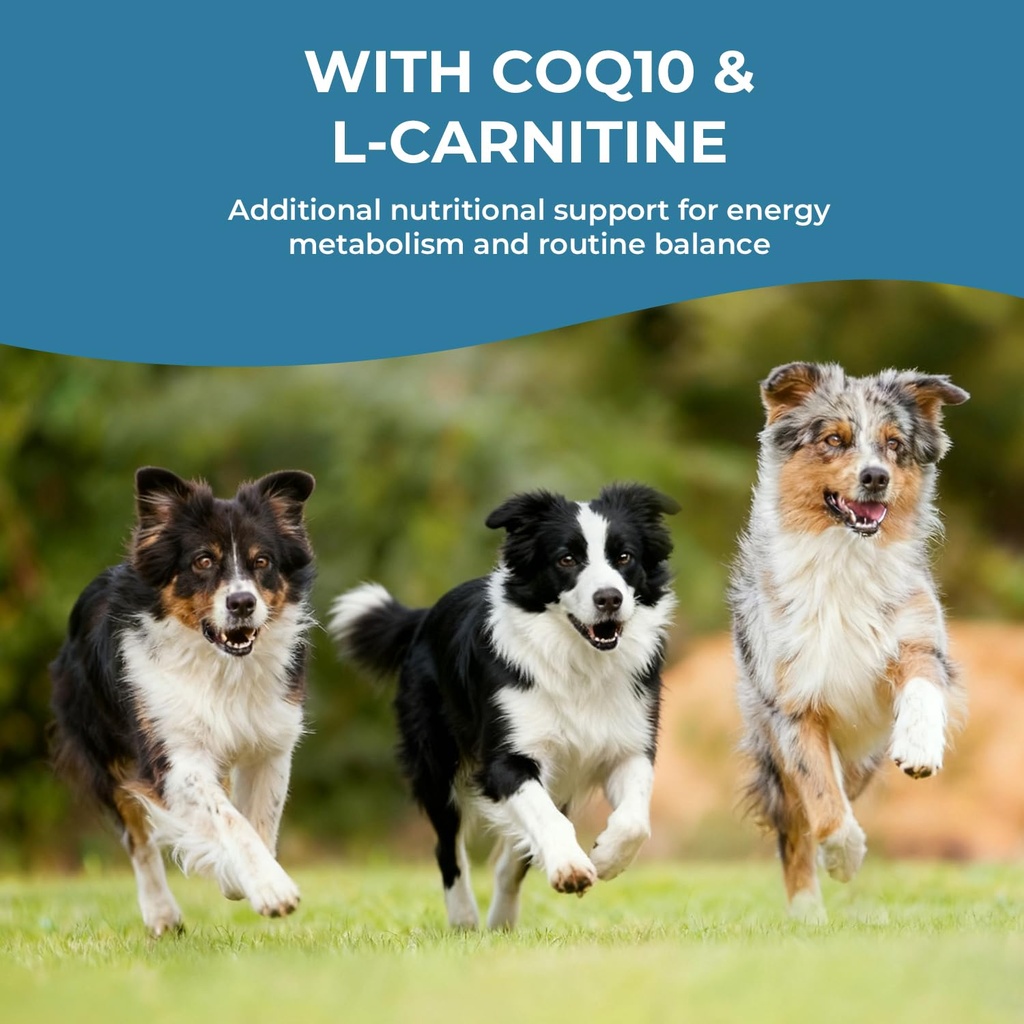 taurine-supplement-for-dogs-liquid-drops-5.jpg