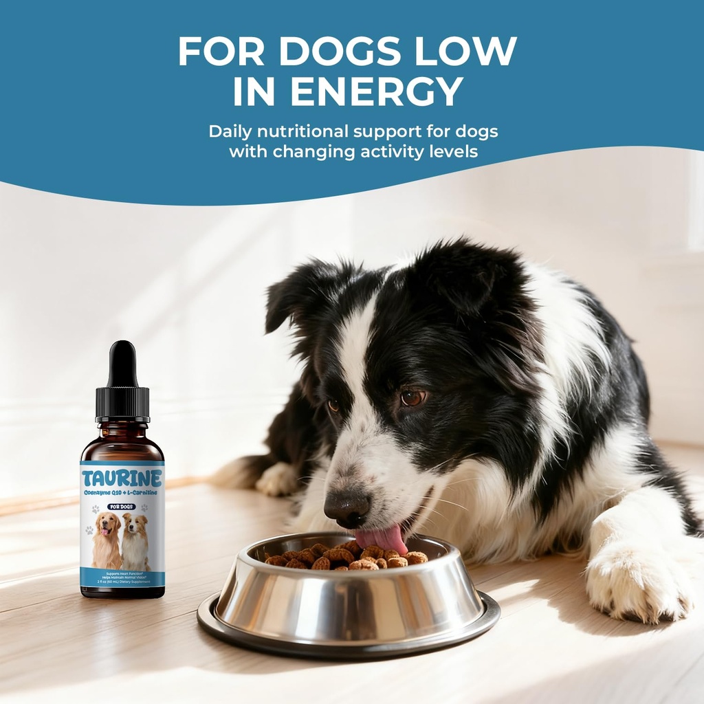 taurine-supplement-for-dogs-liquid-drops-2.jpg