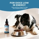 taurine-supplement-for-dogs-liquid-drops-2.jpg