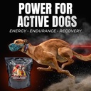 power-boost-canine-performance-formula-l-2.jpg